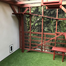 Pet Sanctuary