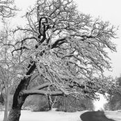 Stephanie Cecola's photo