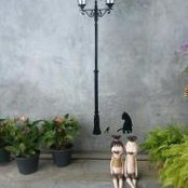 Foto von Carson Lee