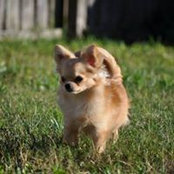 Stephanie VanGilder's photo