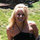 tracy_newquist
