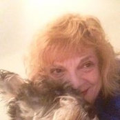 Catherine Lauro-Dickson's photo