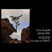 Foto von Yexandra Urena