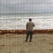 Foto von Sally Nolen