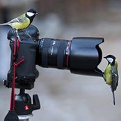 Del Allen's photo