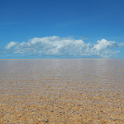 Tony de Fazio's photo