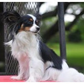 Martha Mahoney's photo