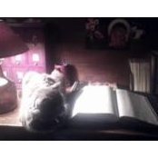 Melissa Morrow's photo