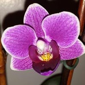 Elke Riedling's photo