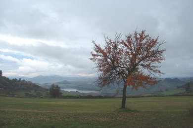 Oasi Fluviale Valle del Morello (Villarosa, Enna)