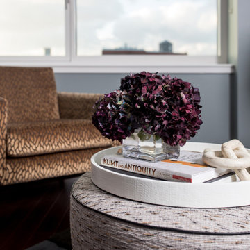 Battery Park City Residence