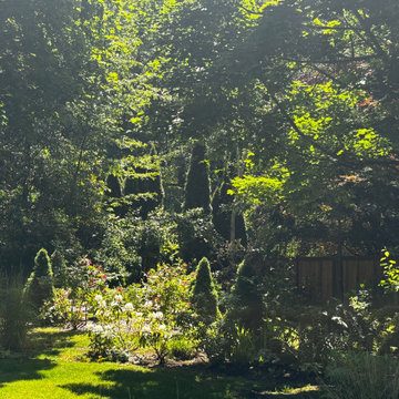 Woodland Meets Backyard
