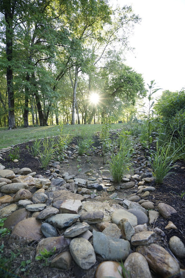 French Broad Rain Garden - First Summer 2016