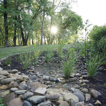 French Broad Rain Garden - First Summer 2016