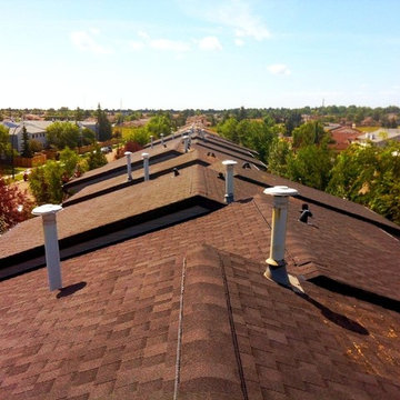 Commercial Projects