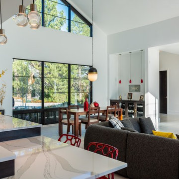 Custom Mountain Modern