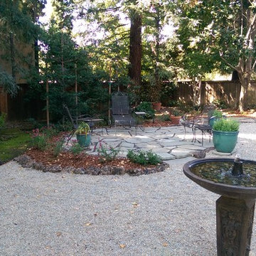 Large Xeriscape - Chico, CA