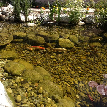 Best of www.socalpondpros.com
