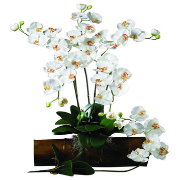 Phalaenopsis Stem, Set of 12, Cream