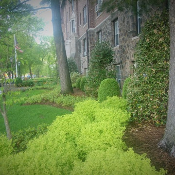 Tudor Hall Condominium - Englewood, NJ