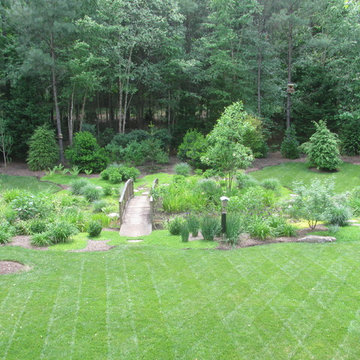 Mathews Native Naturalization...An abstraction from nature