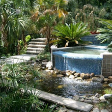 Water Features