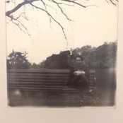 Alice Low's photo