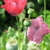Barb Owens's photo