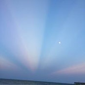 Anita Pendell's photo