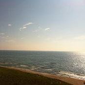 Stevon Mosley's photo