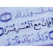 Mostafa Amer's photo