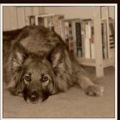 Jennifer Mates's photo