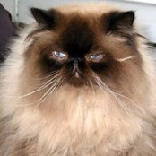 Leanne Kinsella's photo