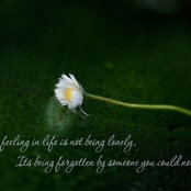 Ngoc Chu's photo
