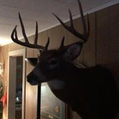 Patrick Reagan's photo