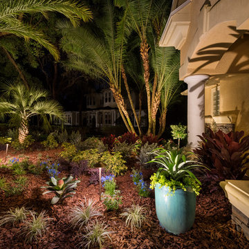 Fishhawk Trails - Vines Project (Campus Signature Package)