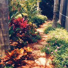 Backyard landscape