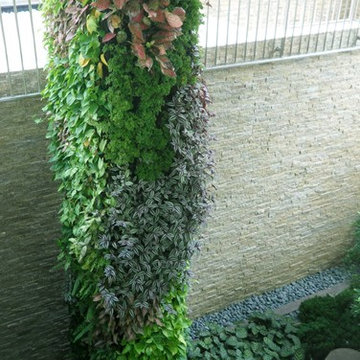 Green Wall and Residential Landscape Work @ Gerald Crescent ,Singapore
