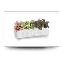 Partition Planters