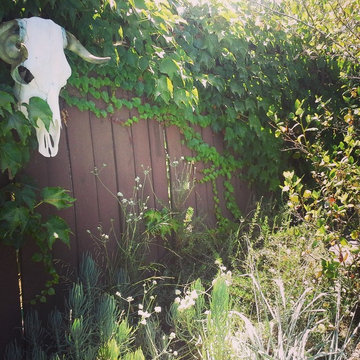 Specialized Garden Maintenance