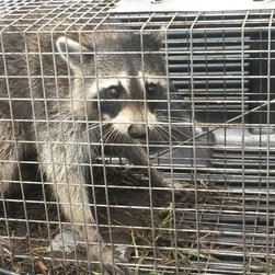 Animal Removal - Products