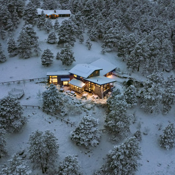 Pine Perch