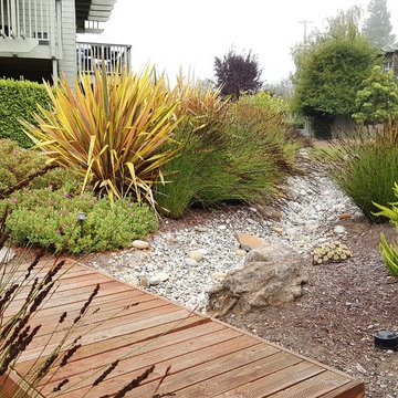 Community Gathering Multi-Family Garden
