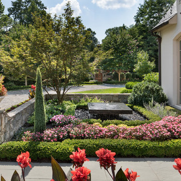 Vibrant Surroundings