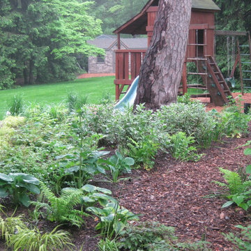 u2014 ALE: Fishers Woodland Garden