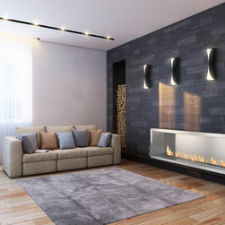 Ignis Ethanol Fireplace Inserts / Fireboxes FB6200-S - Indoor Fireplaces