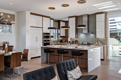Example of a minimalist kitchen design in Calgary