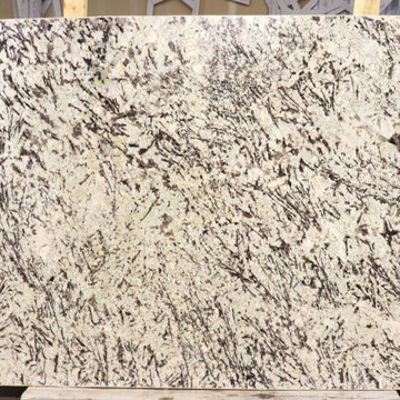 White Coast Polished 7824