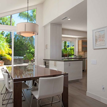 European Minimalism in Rancho Peñasquitos