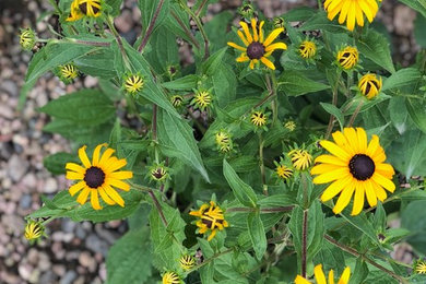 fossil creek nursery fort collins colorado